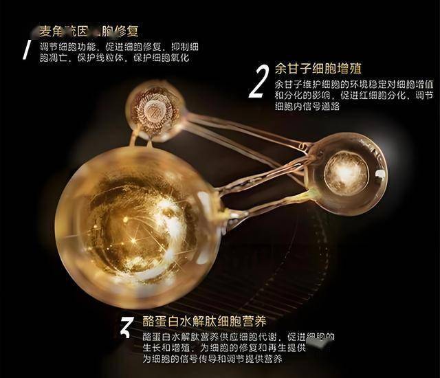 蓝莓外汇平台怎么代理蓝莓外汇市场知乎：我如何在短短3个月内实现资金翻倍的秘密！